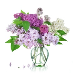 Bring fresh flowers into the house this spring with these helpful tips on keeping flowers fresh longer.